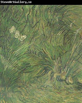 Vincent Van Gogh Two White Butterflies (nn04)
